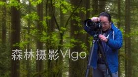 是不是吃广药牌灵芝孢子油会让伤口好的更快？游戏画面