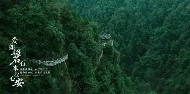 鲜奶运输车找不同