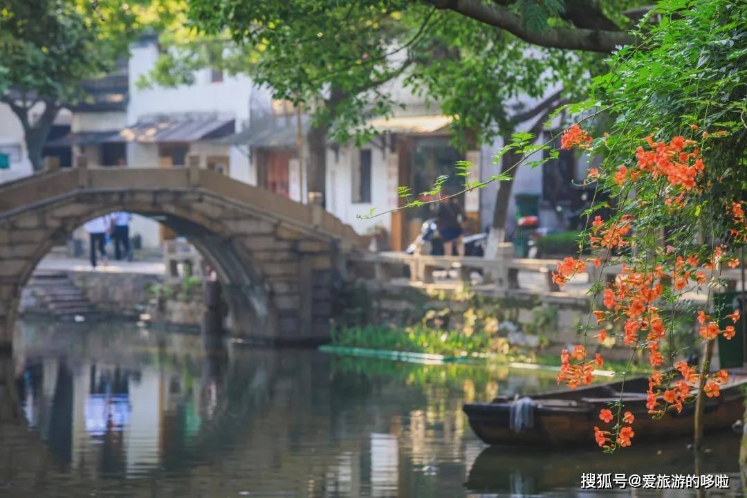 时尚红人莎莉